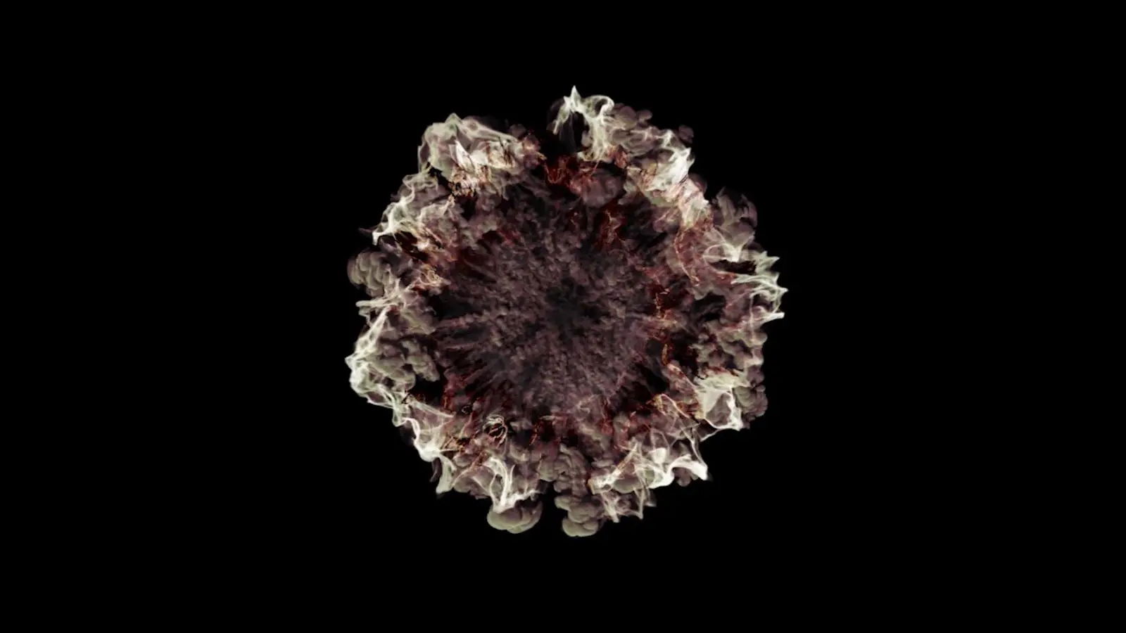 Procedural organic render from university CGI work
